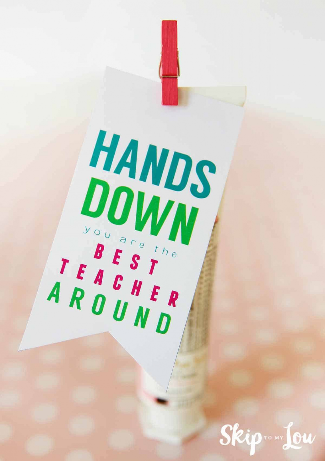 Best Teacher Hands Down Teacher Gift + More Great Gifts!  Skip To