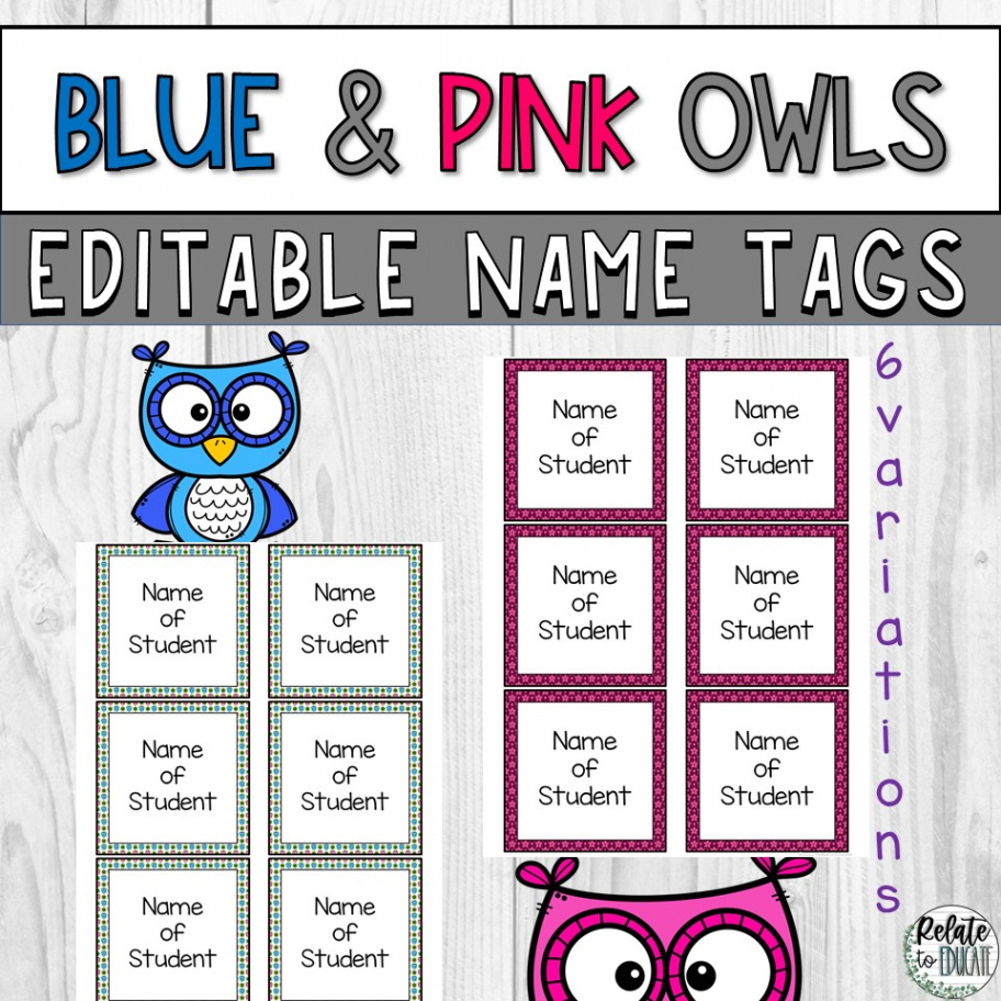 Blue & Pink Owl Editable Printable Name Tags  Made By Teachers