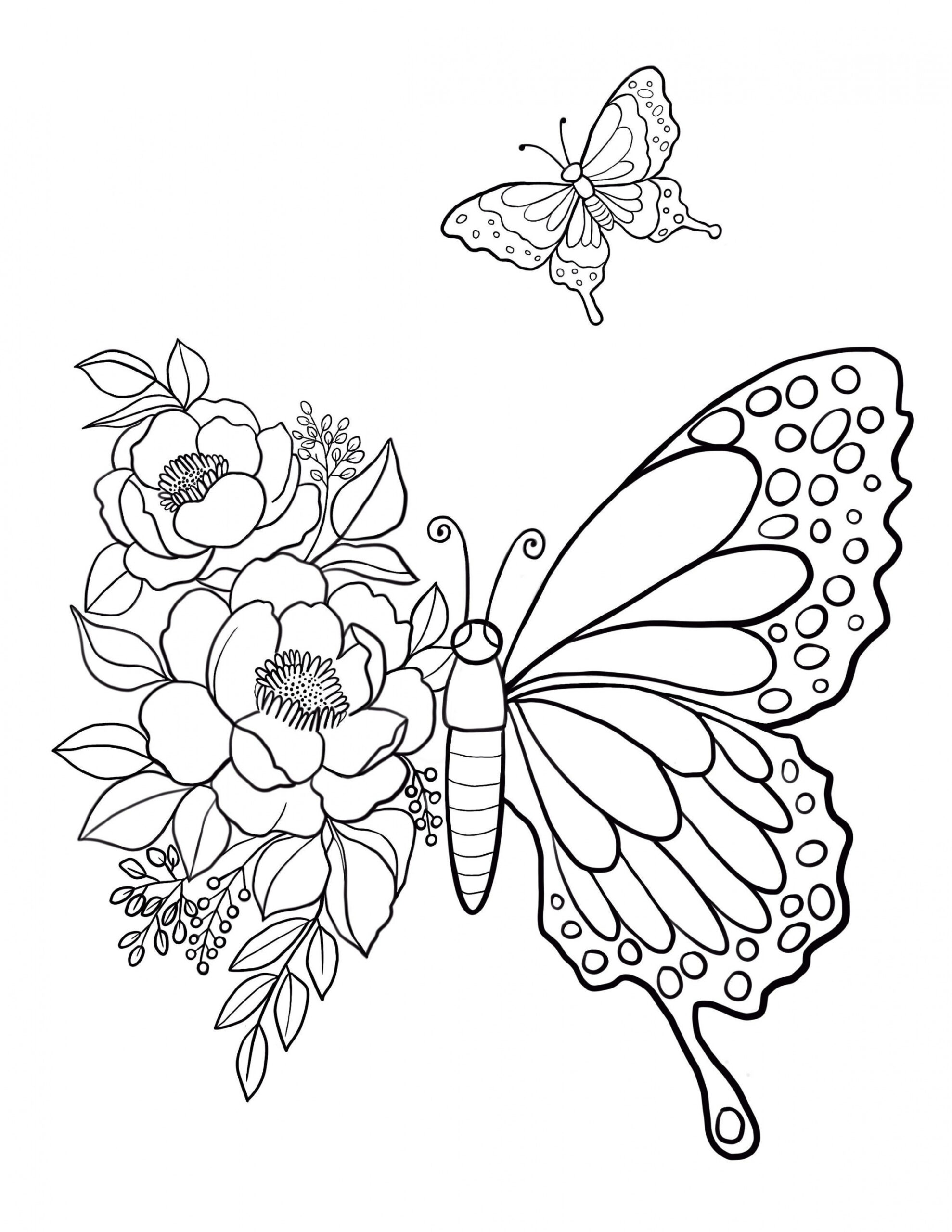 Butterfly Printable Coloring Sheet Coloring Pages Kids - Etsy Canada