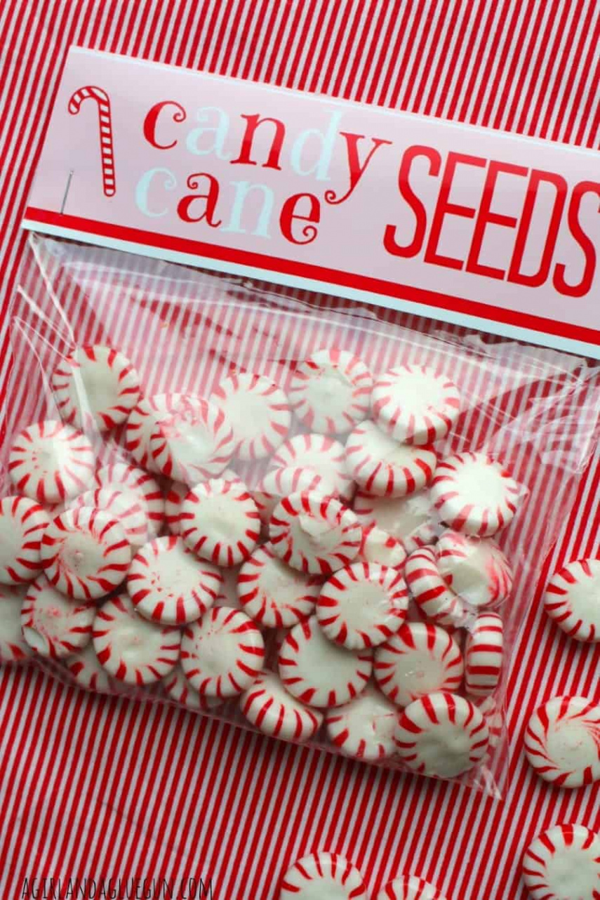 Candy cane seeds printables - A girl and a glue gun