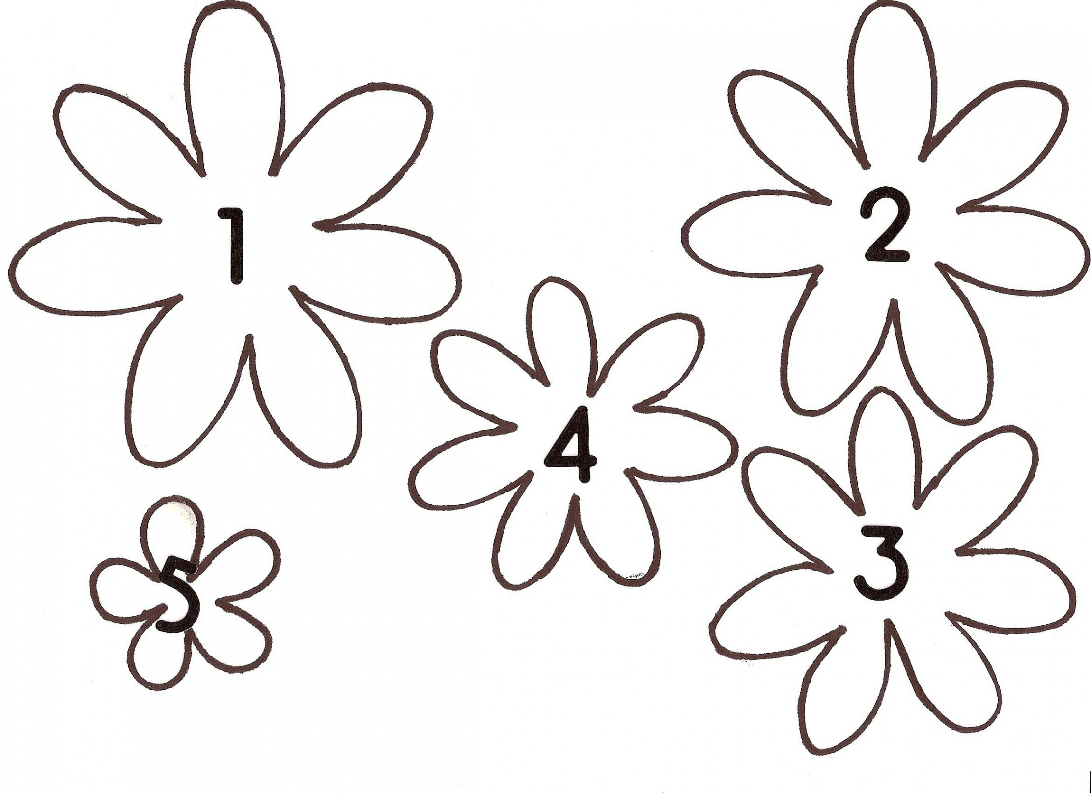 D Flower Template Printable  rudycoby