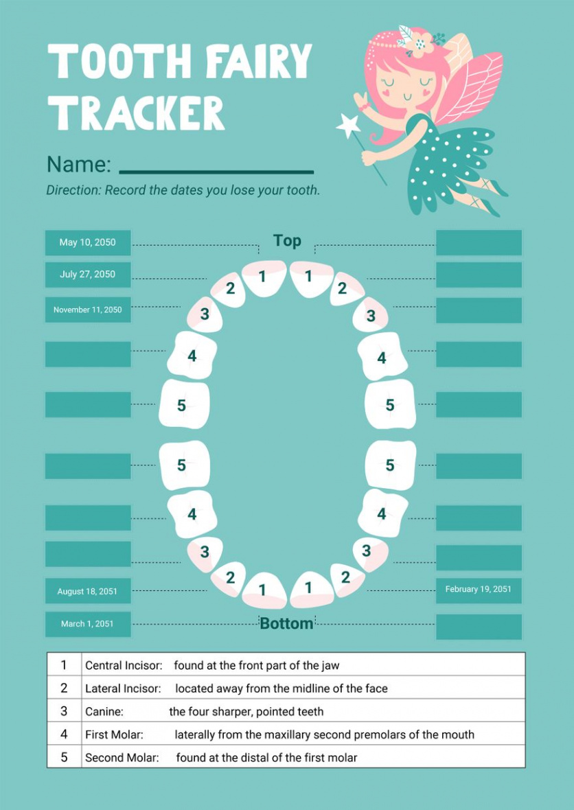 Free Free Lost Tooth Chart - Download in PDF, Illustrator