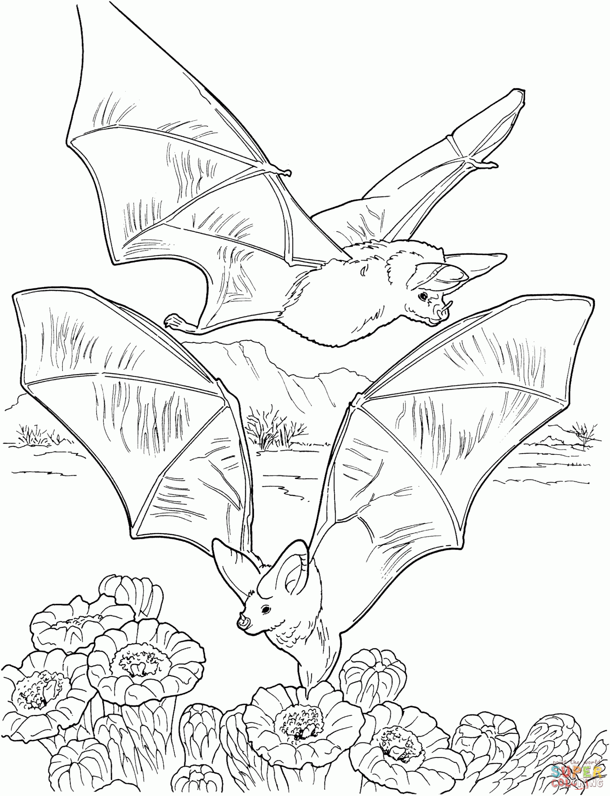 Free Printable Bat Coloring Pages For Kids