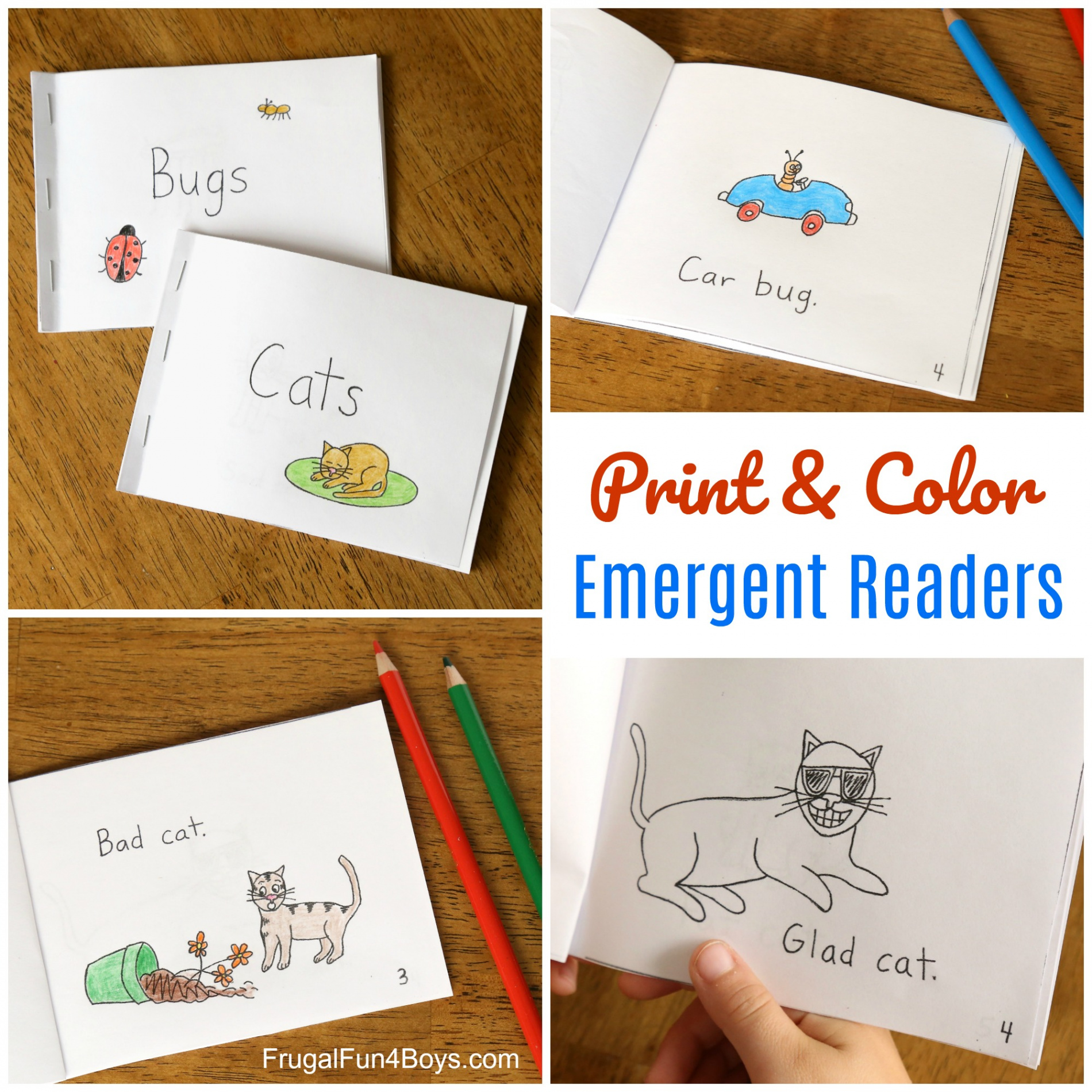 Free Printable Books for Beginning Readers - Level  (Easy