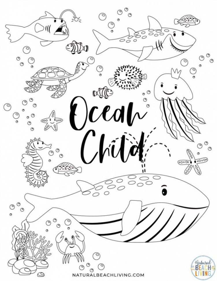 Free Printable Ocean Activity Pages for Preschoolers and