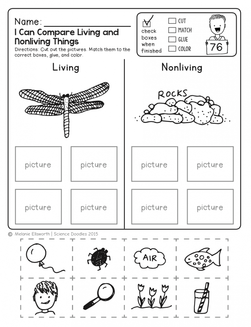 FREEBIE! NO-PREP Kindergarten Science Doodle Printables  Free