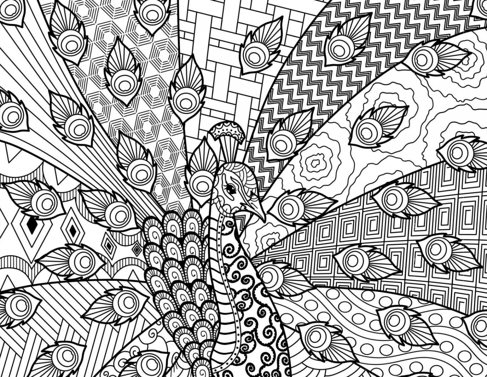 Intricate Zen Coloring Pages - Etsy UK