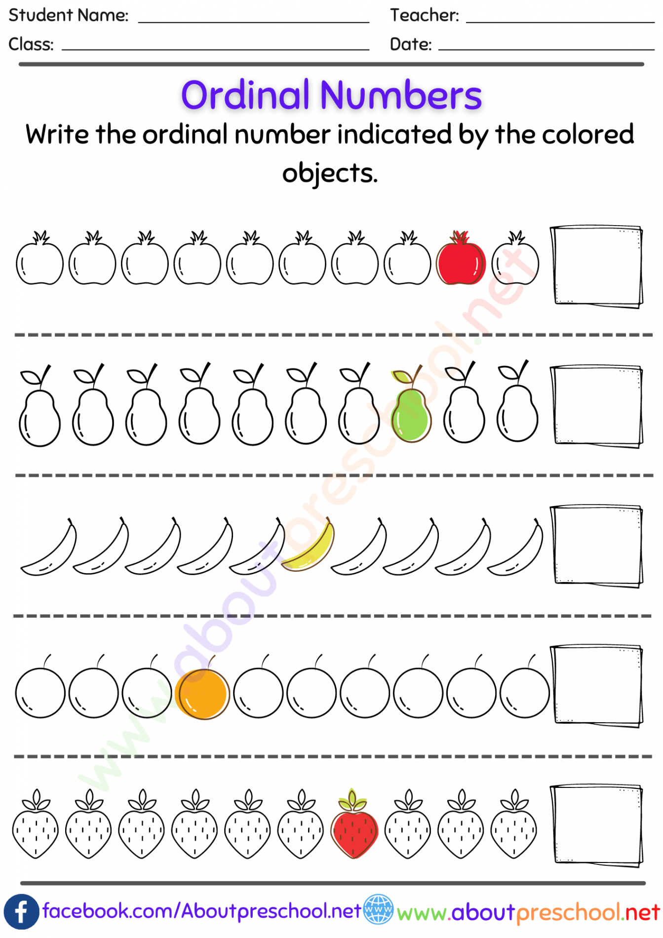 Kindergarten or Grade  Ordinal Numbers Worksheet