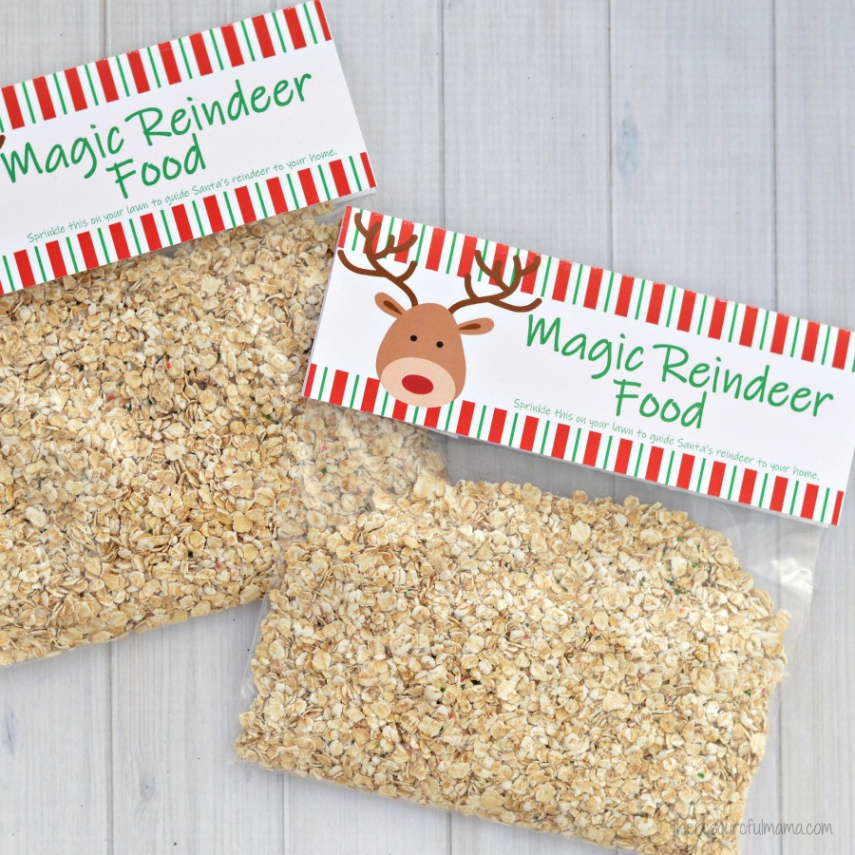 Magic Reindeer Food Printable Bag Topper - The Resourceful Mama