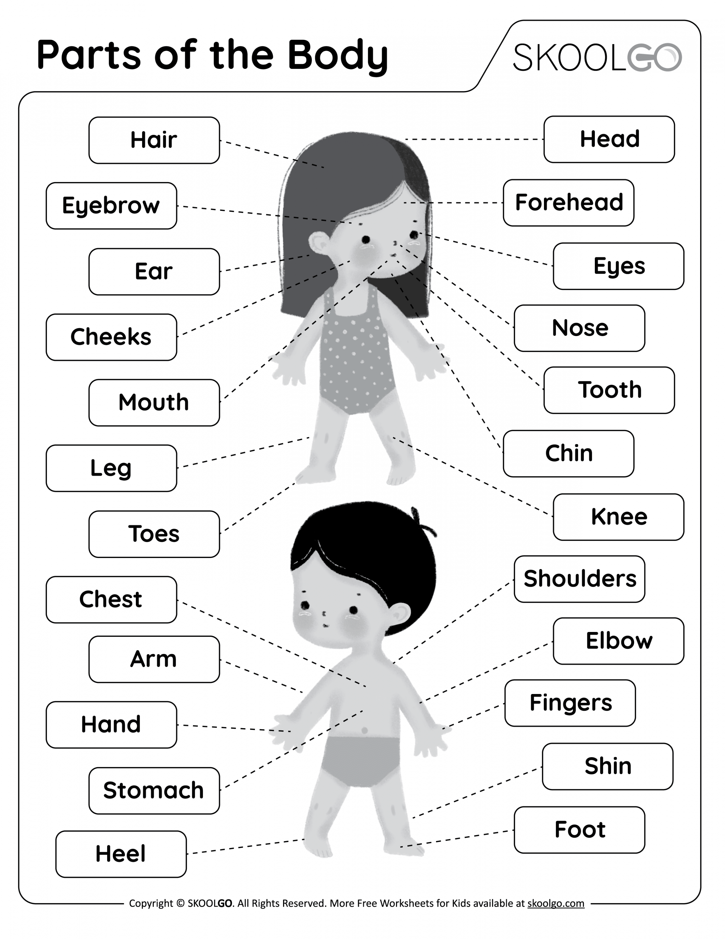 Parts of the Body - Free Worksheet - SKOOLGO