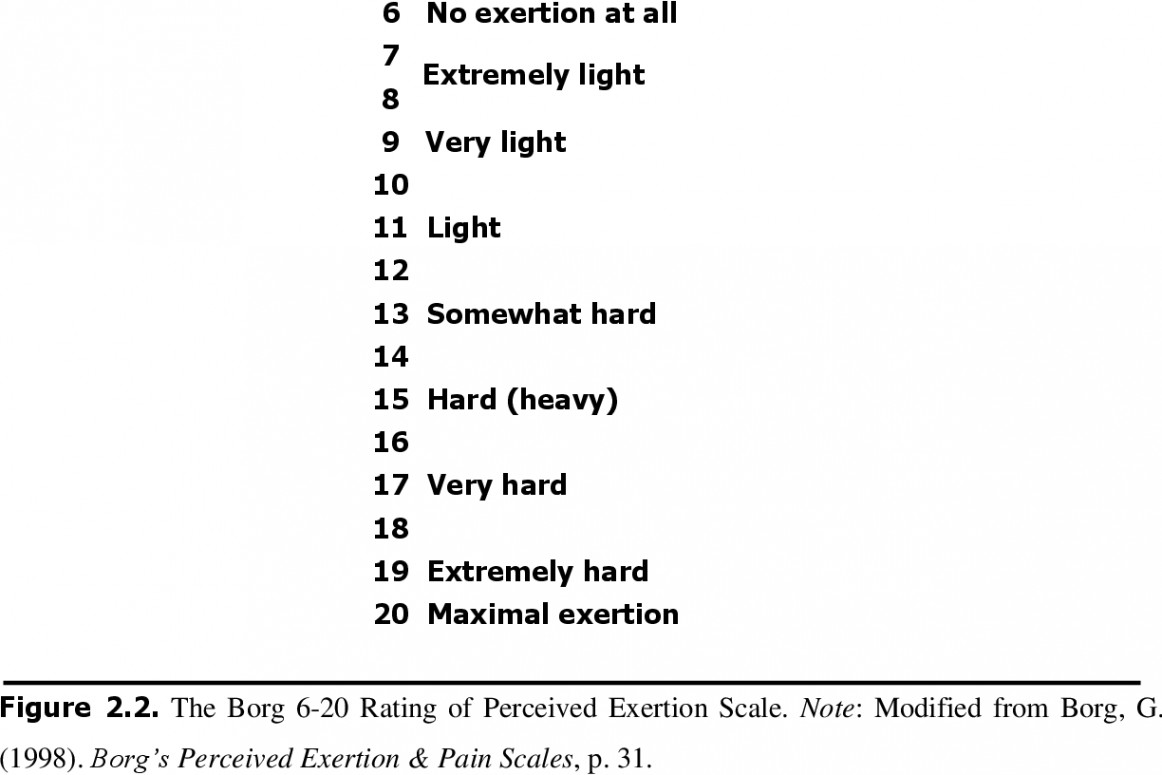 Perceived exertion relationships in adults and children  Semantic