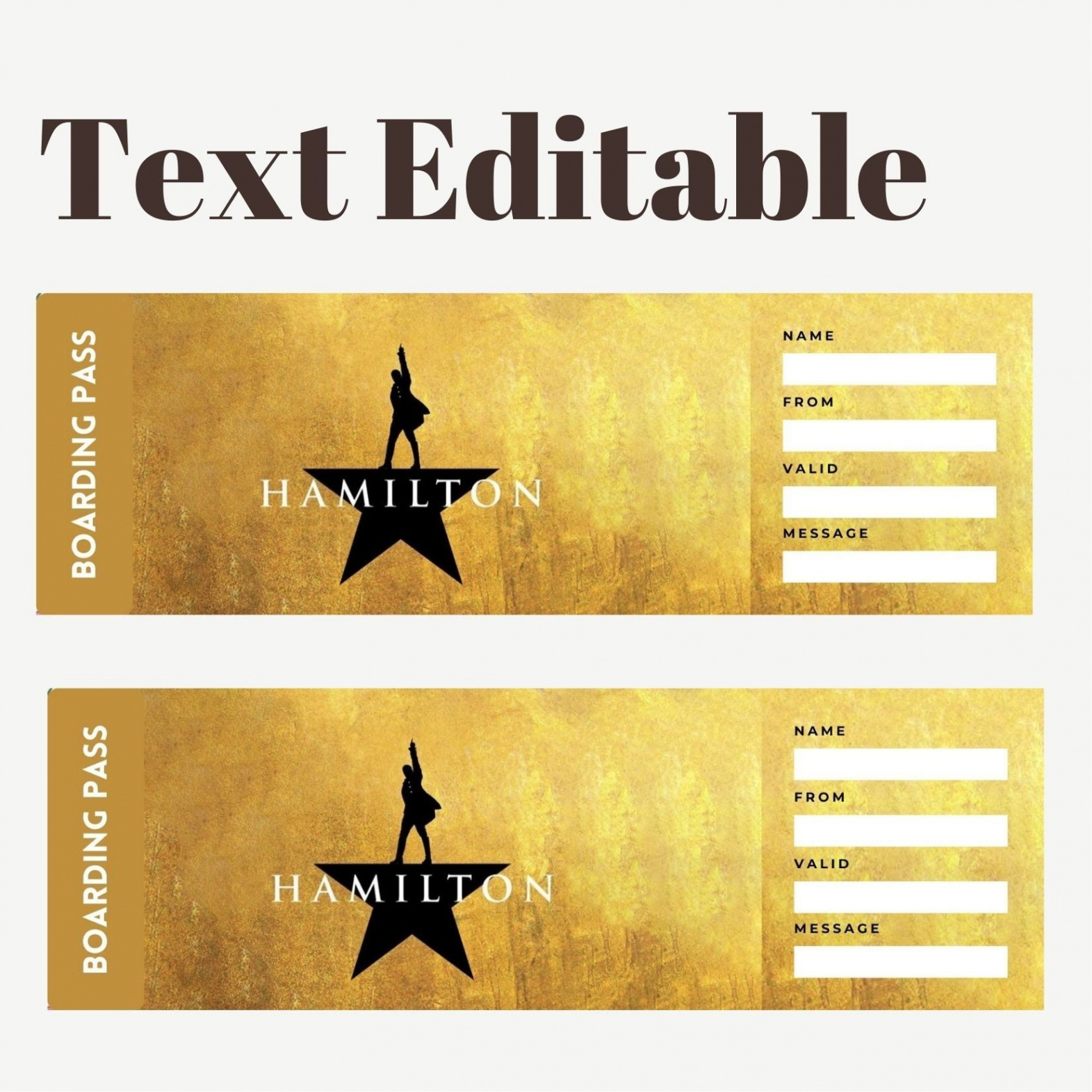 Printable Hamilton Surprise Ticket Editable Broadway Musical