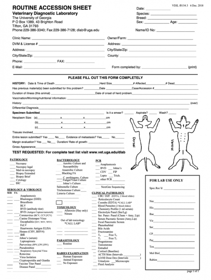 Printable vet forms: Fill out & sign online  DocHub