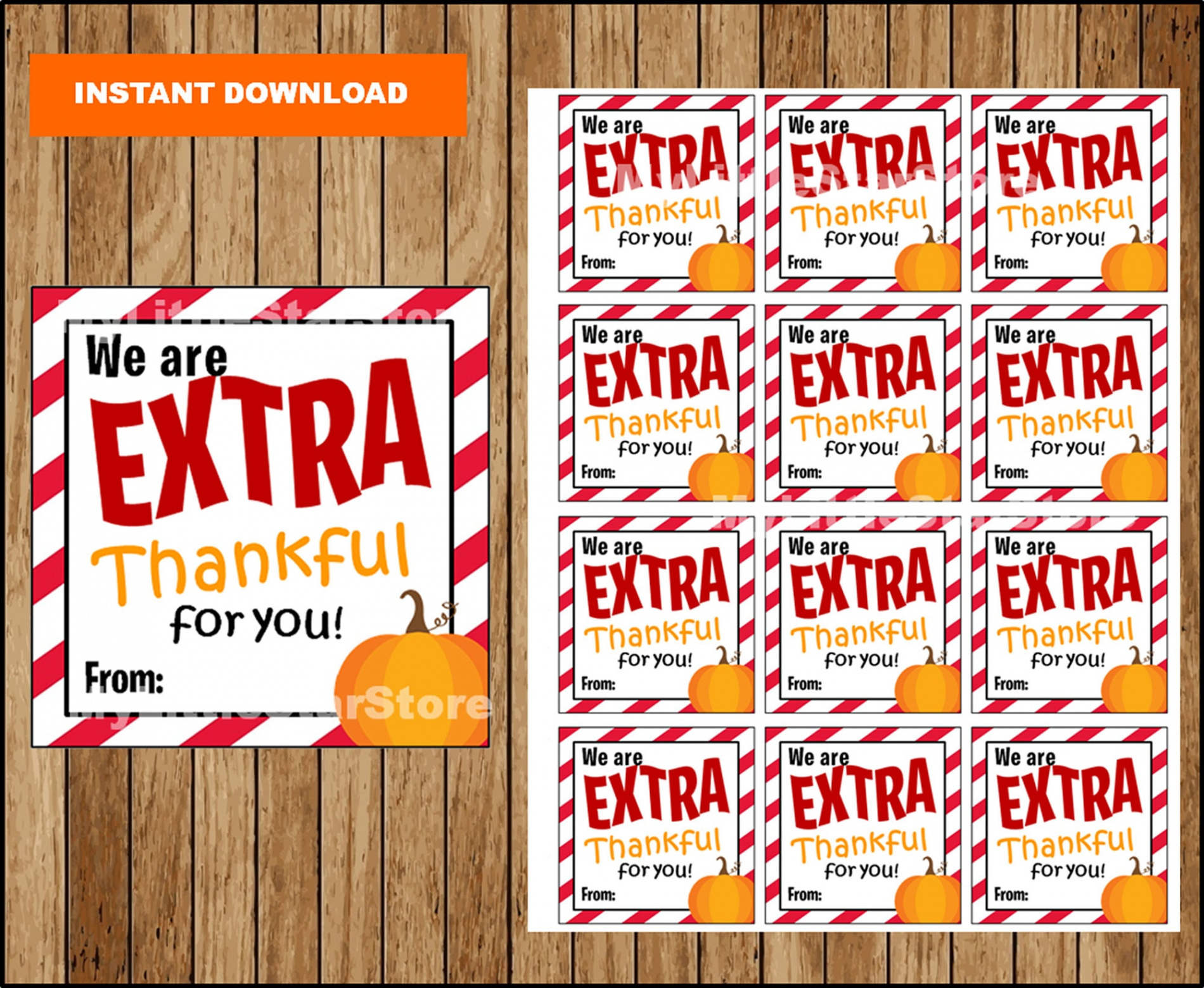 We Are EXTRA Thankful for You Gift Tags Printable - Etsy