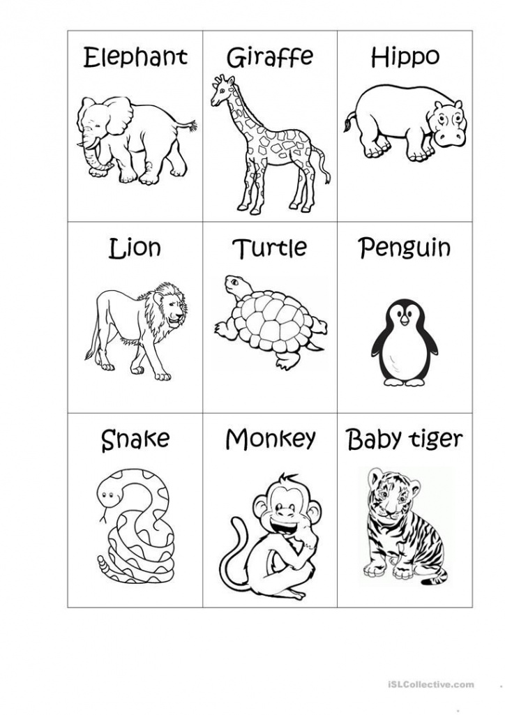 Zoo Animals - Big or Small? - English ESL Worksheets for distance