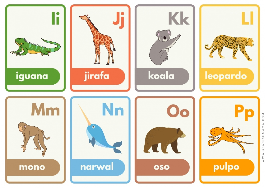 A Guide to the Alphabet in Spanish with Free Printables