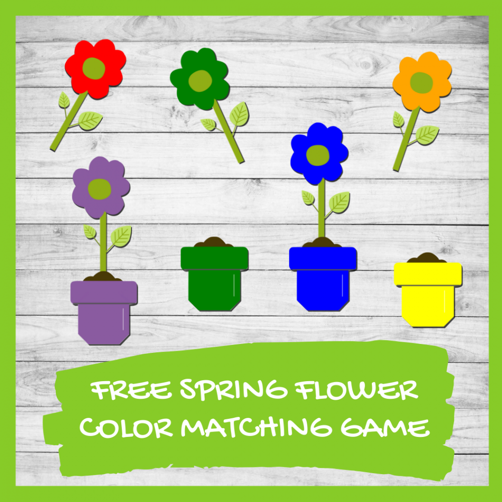 A Spectacular Spring Flower Color Matching Game (Preschool