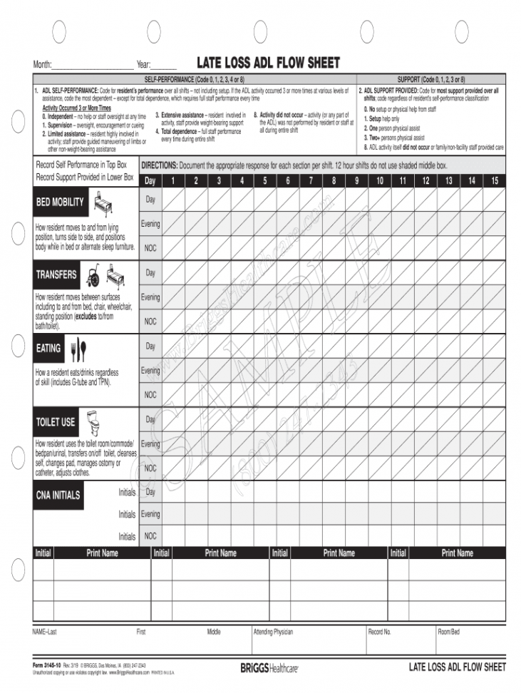 Adl flow sheet: Fill out & sign online  DocHub