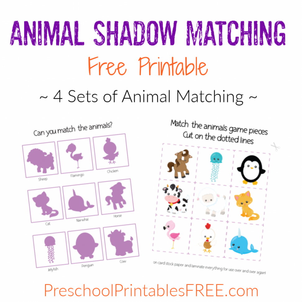 Animal Shadow Matching (free printable) – Free Preschool Printables