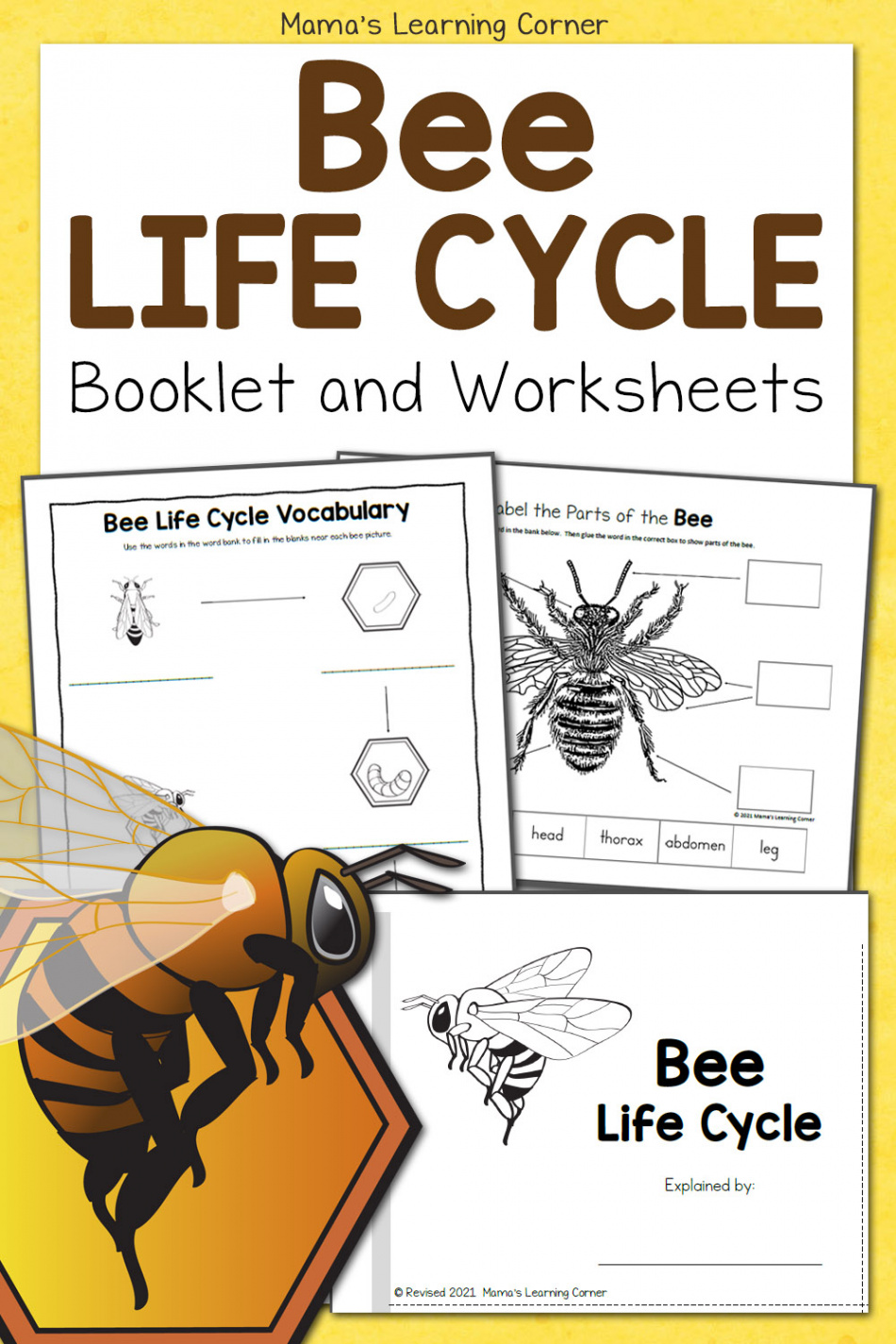 Bee Life Cycle Worksheets - Mamas Learning Corner