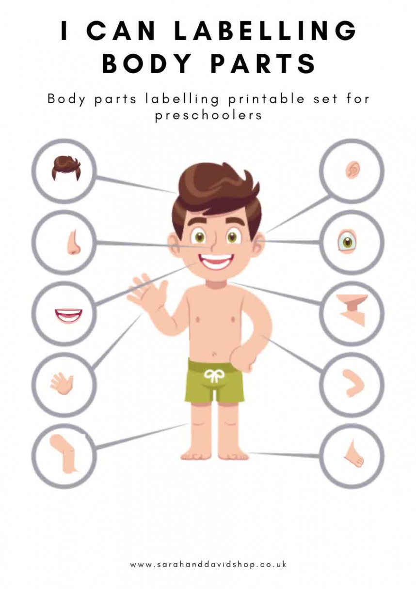 Body parts Preschool Worksheets / Busy book body parts / Preschool  Curriculum