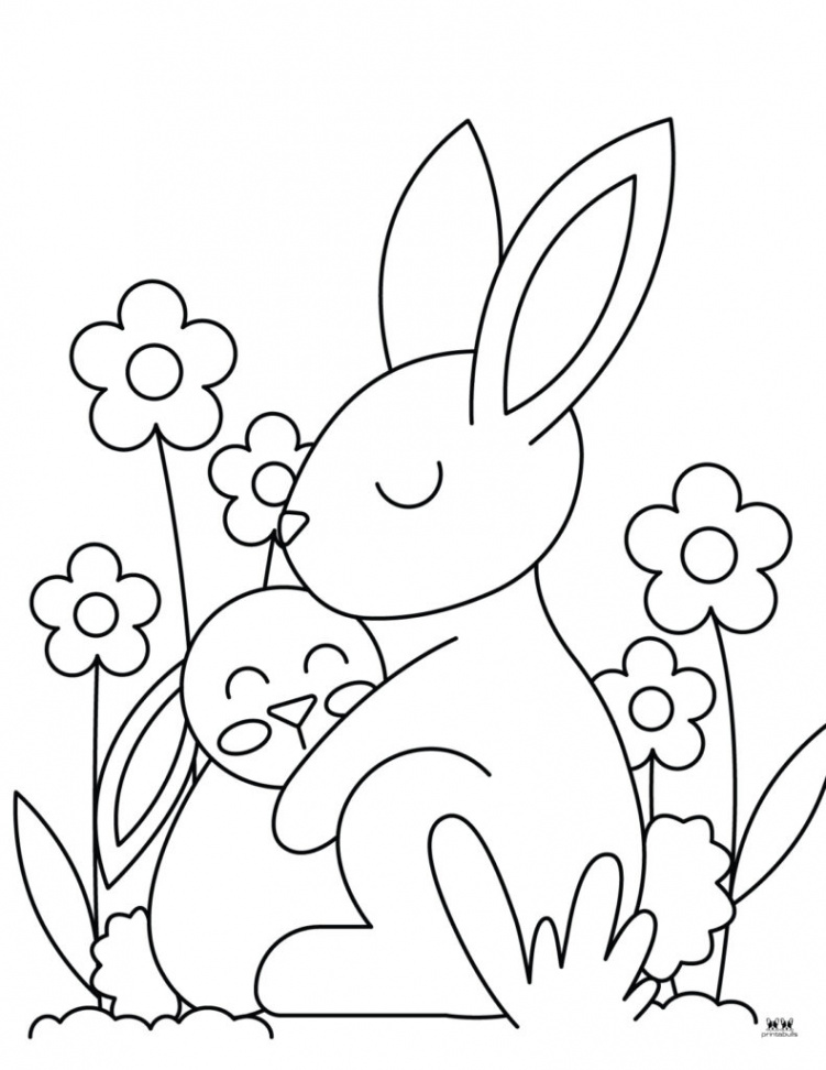 Bunny Coloring Pages -  FREE Pages  Printabulls