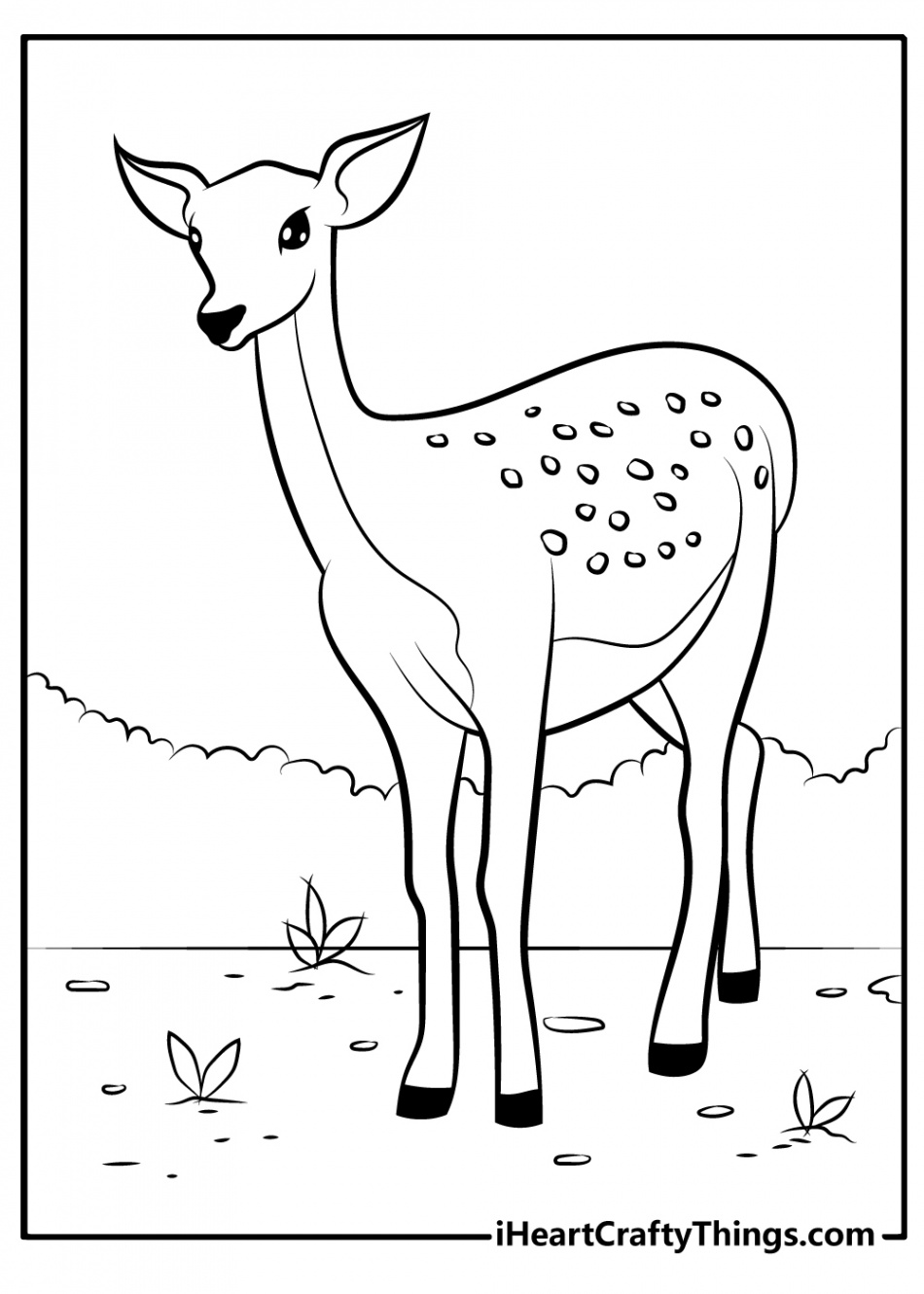 Deer Coloring Pages (% Free Printables)