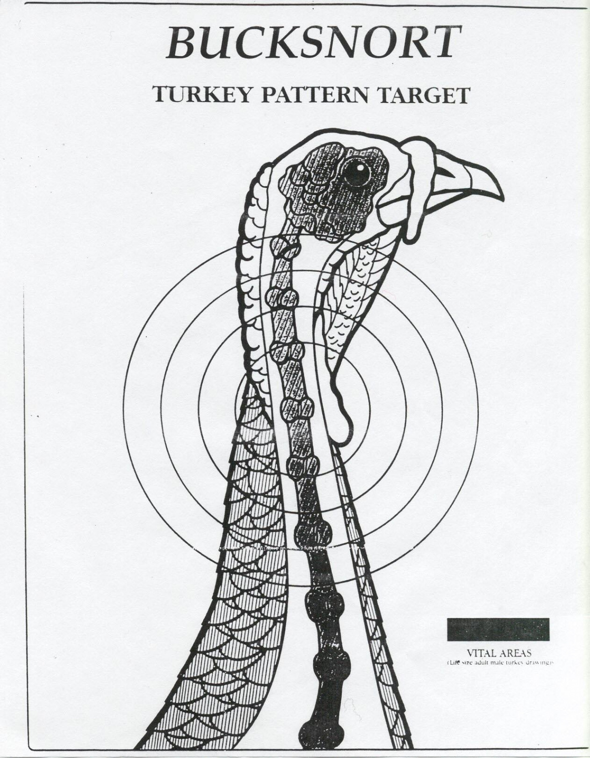 Downloadable Turkey Targets