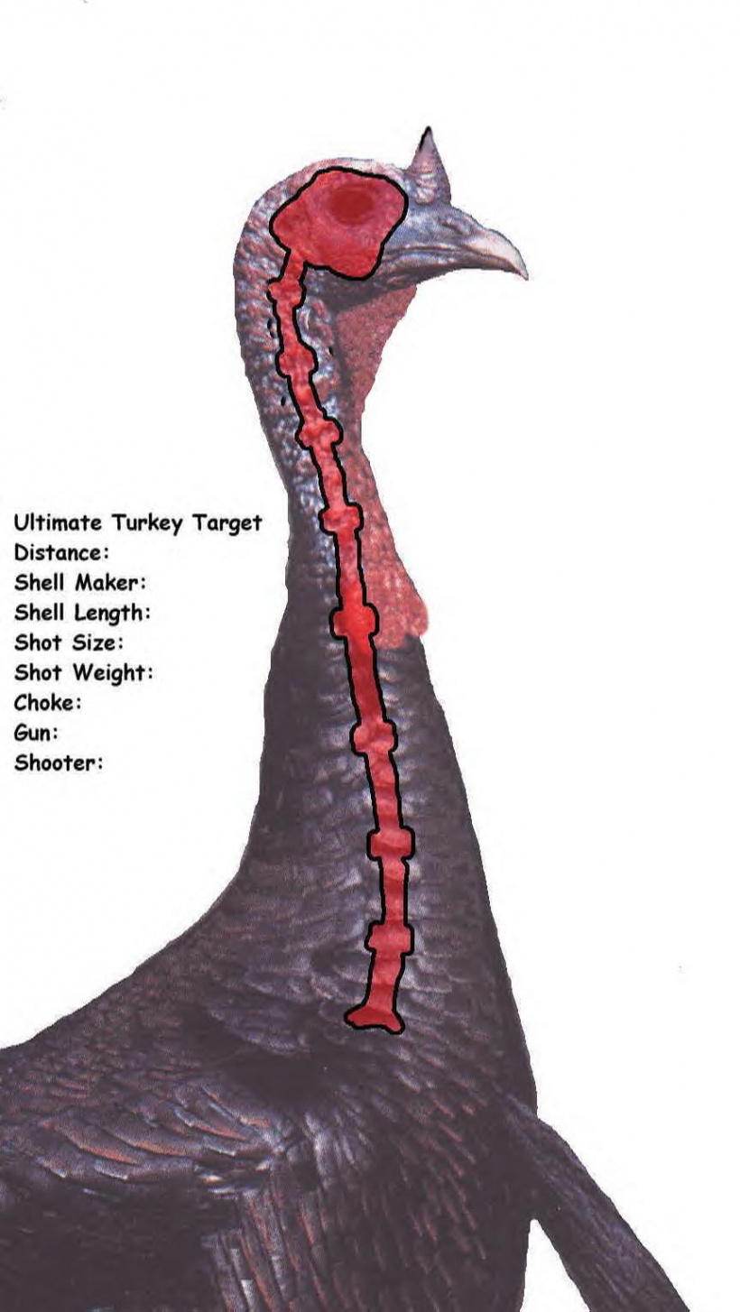 Downloadable Turkey Targets