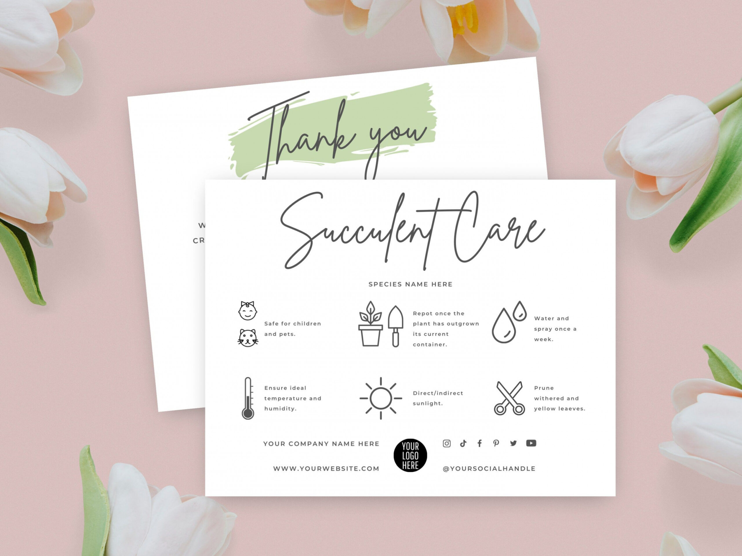 Editable Succulent Care Card Template Indoor Plant Care - Etsy