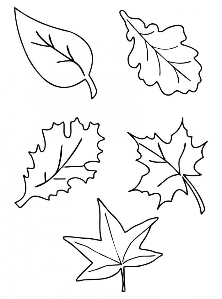 Fall Leaf Templates Printable Free  Fall leaf template, Leaf