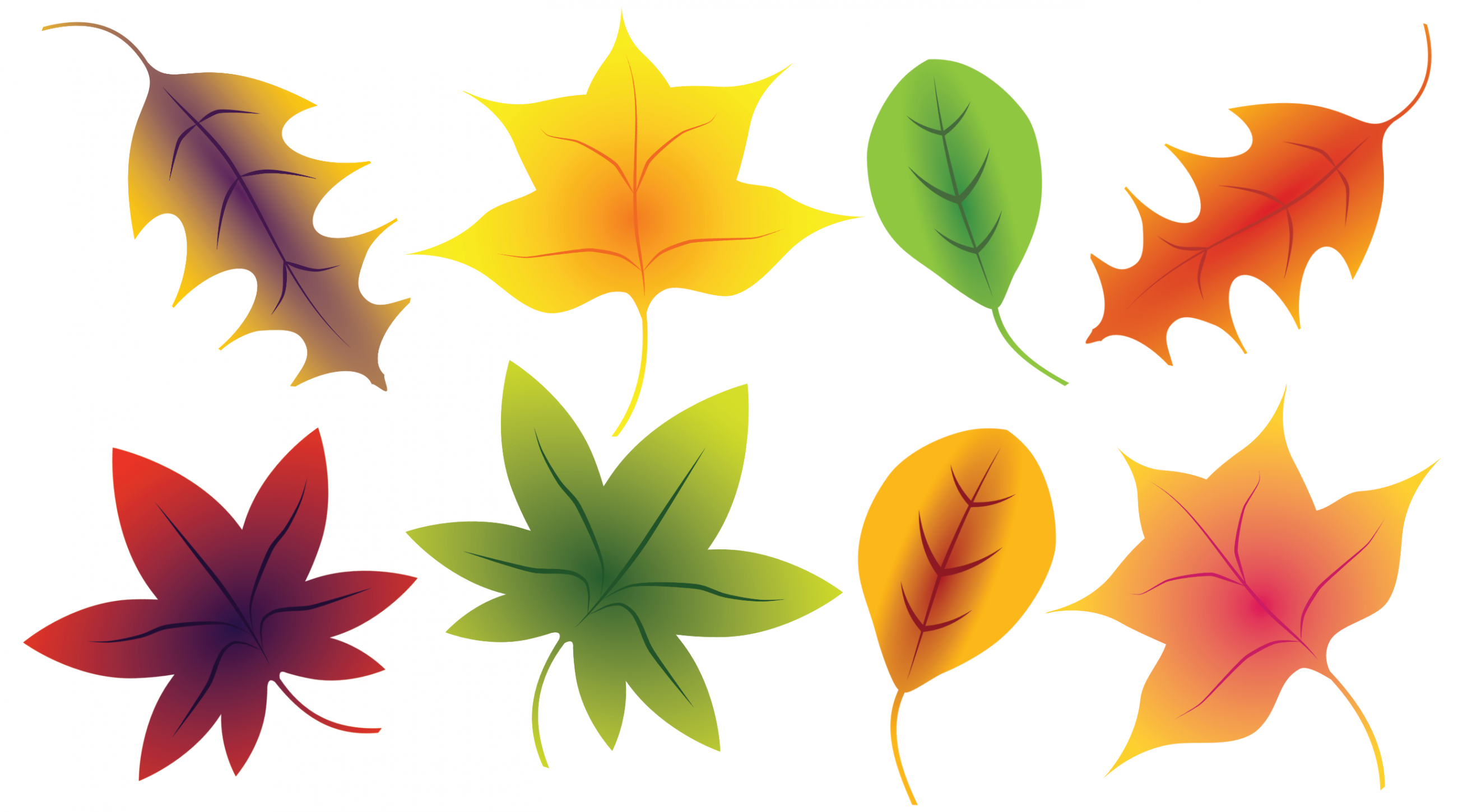 Fall Leaves Clip Art - A Free Clip Art Bundle That