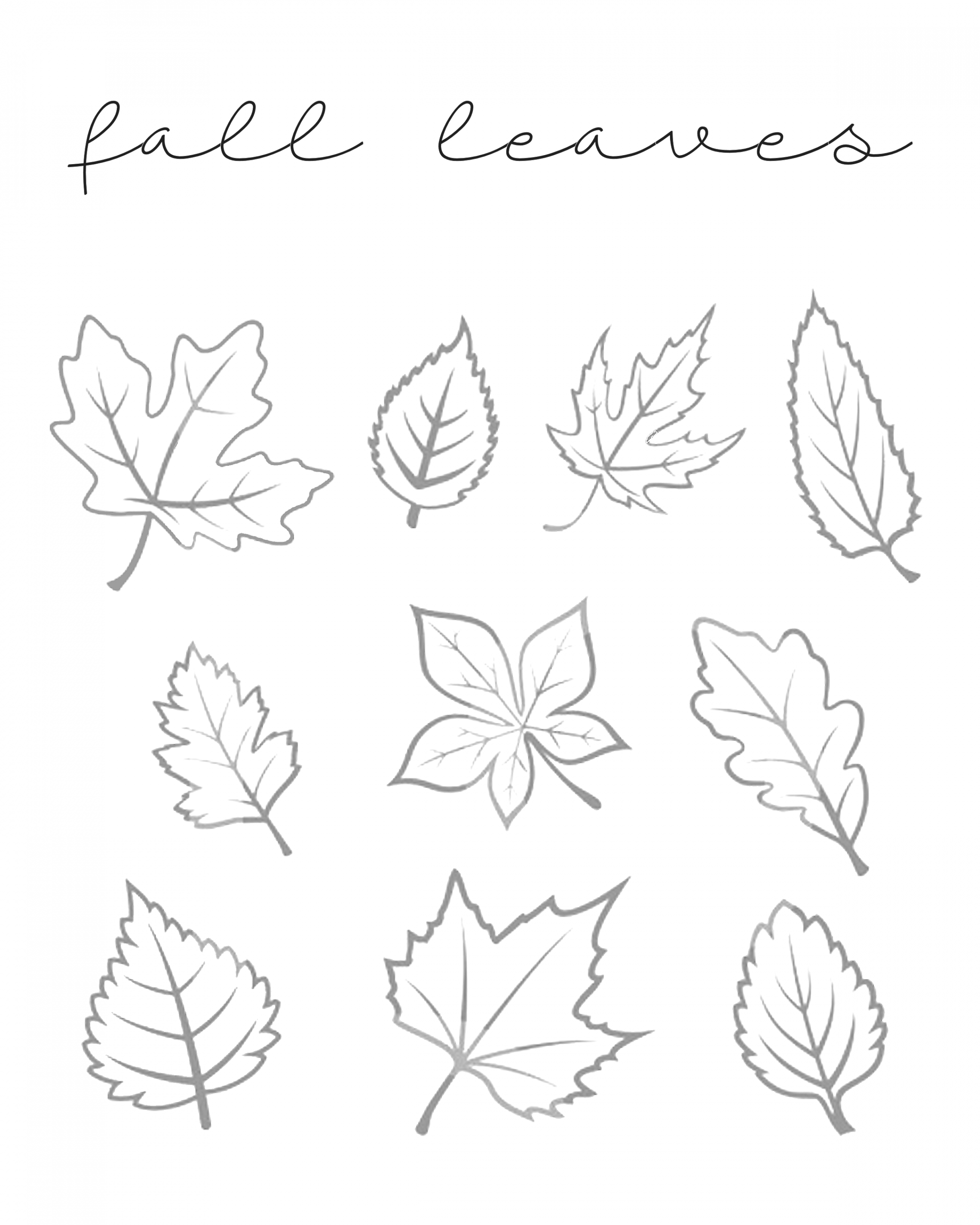 Fall Leaves Printable - Our Kid Things