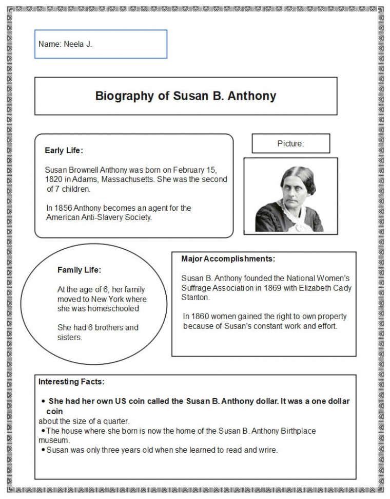 Free Editable Biography Graphic Organizer Examples  EdrawMax Online