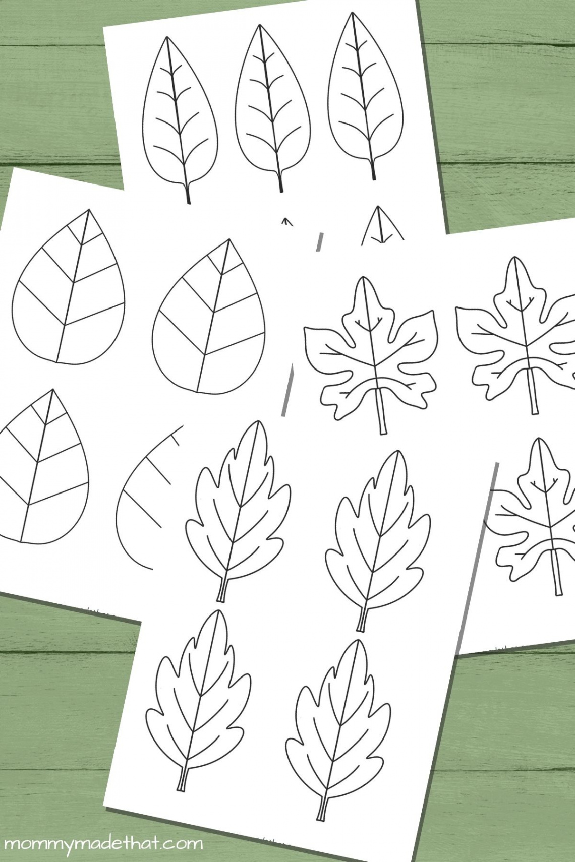 Free Leaf Templates & Outlines: Tons of Printables!!