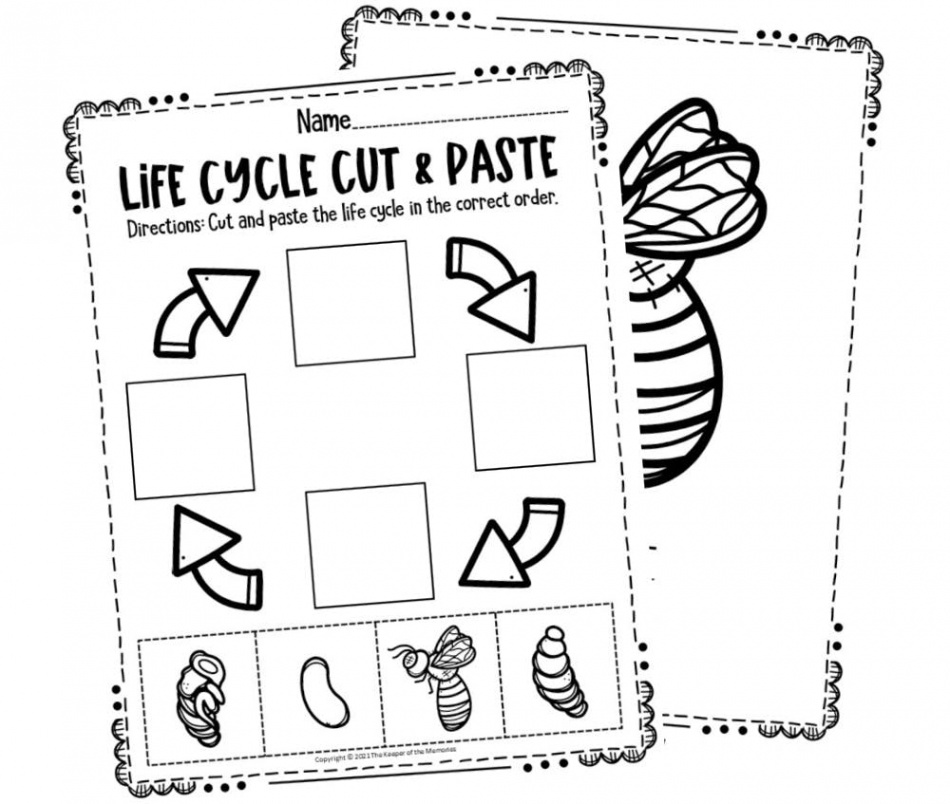 Free Printable Bee Life Cycle Worksheets - The Keeper of the Memories