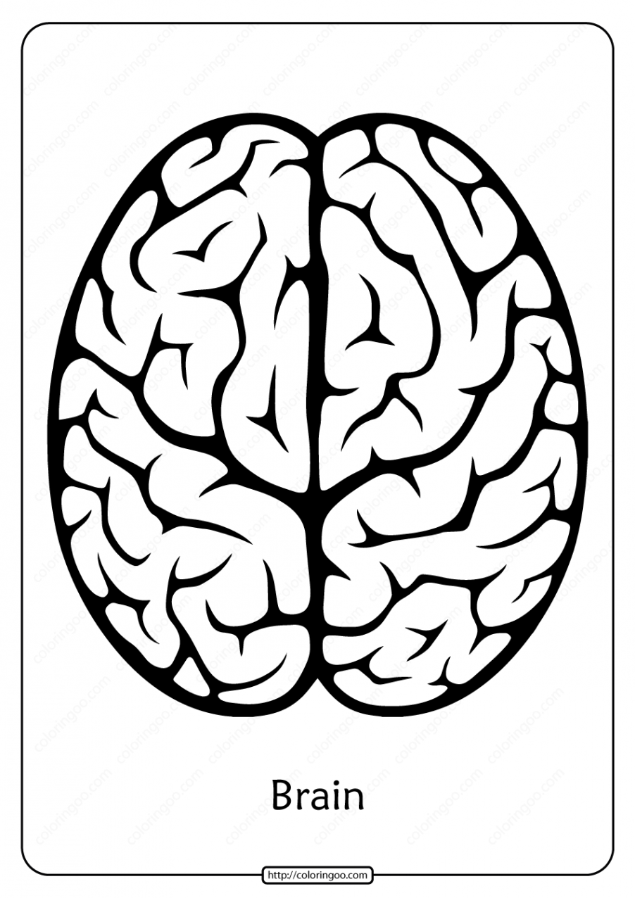 Free Printable Brain Outline Pdf Coloring Pages  Brain drawing