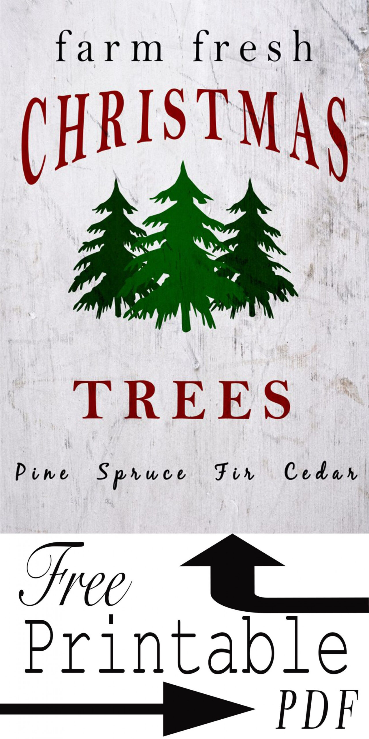 Free Printable PDF  Farm Fresh Christmas Trees  Farmhouse