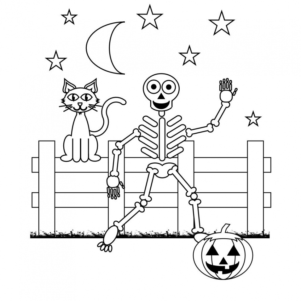 Free Skeleton Coloring Pages  Halloween coloring pages, Pumpkin