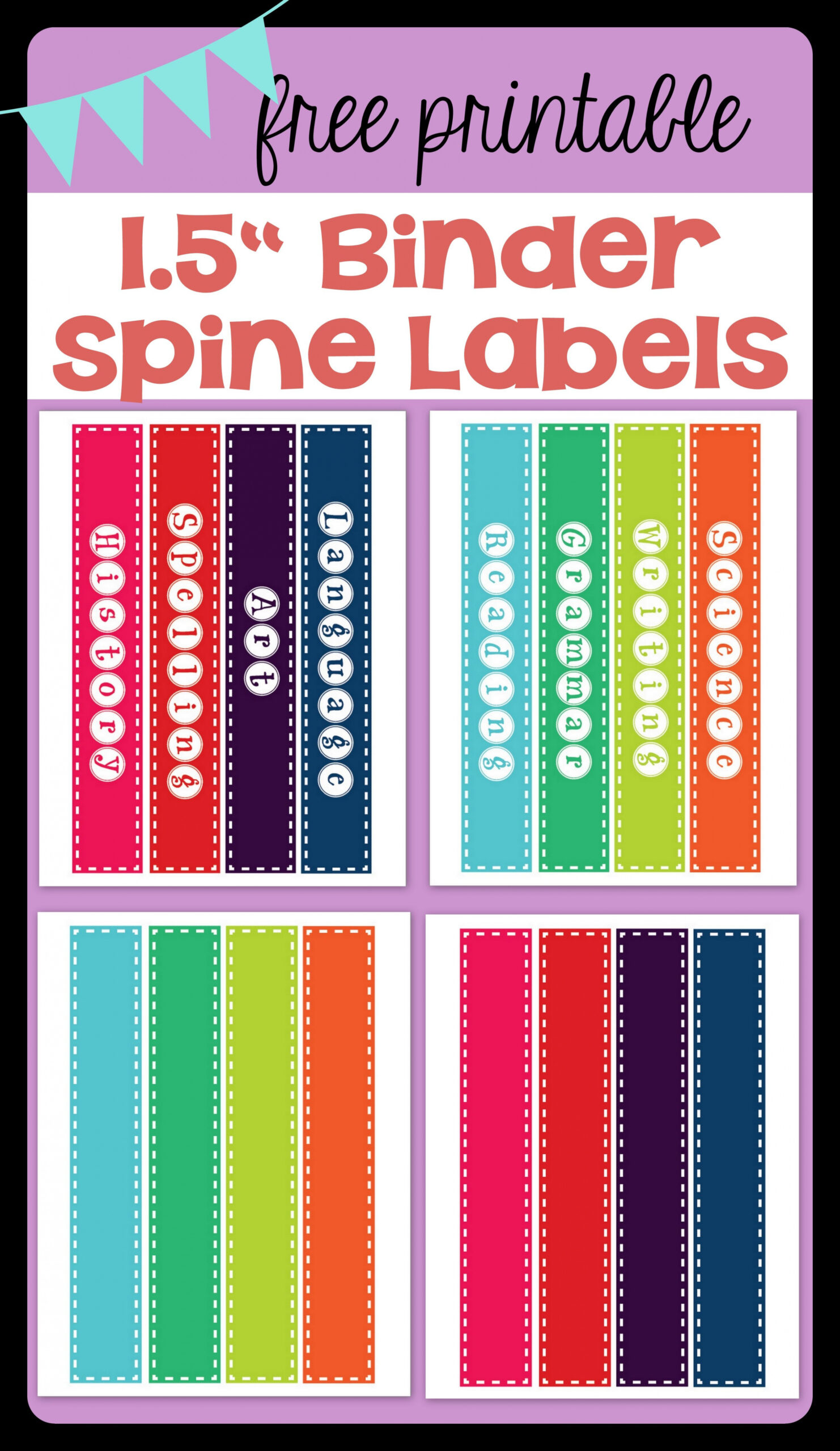 FREEBIE* Binder Spine Labels  Binder spine labels, Teacher