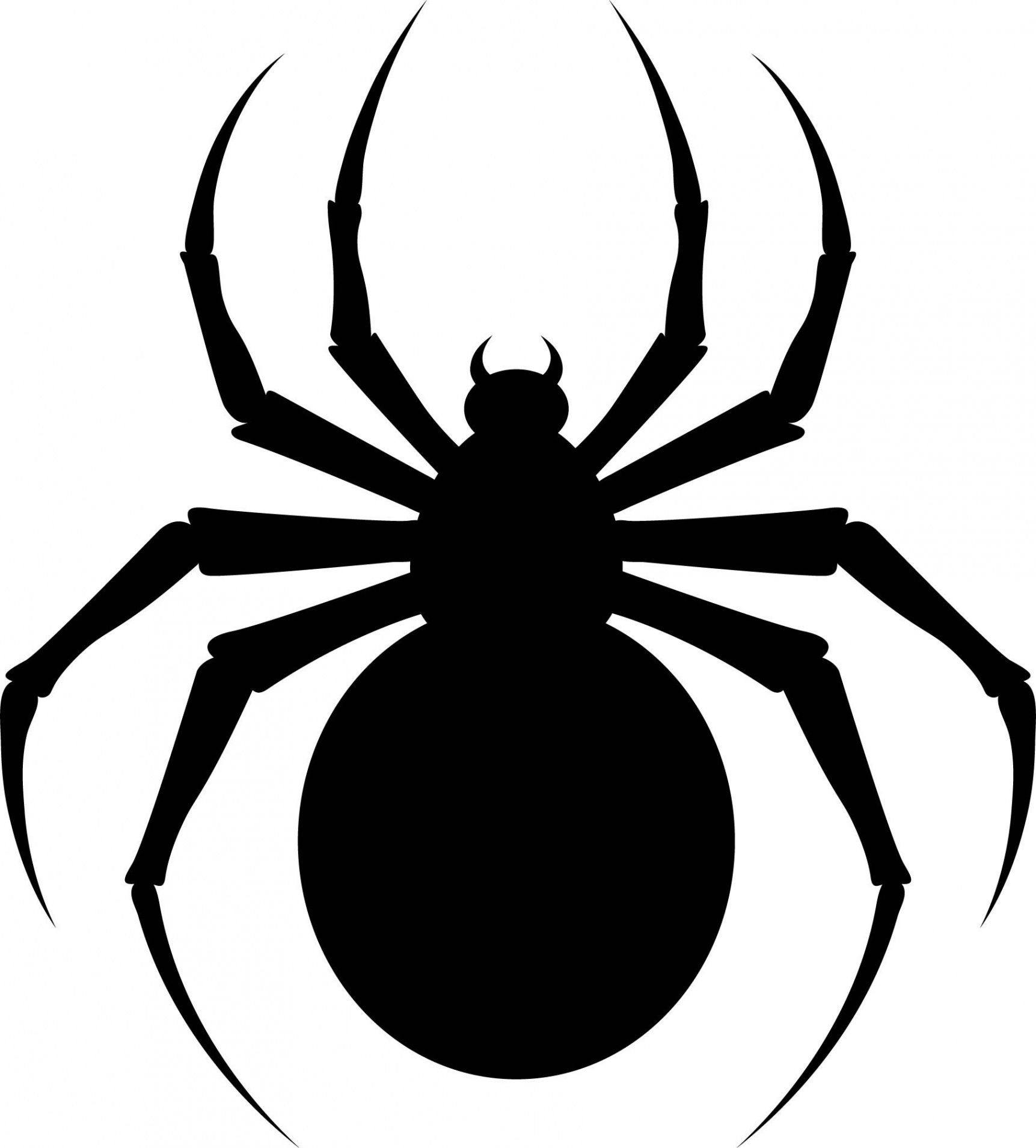 Halloween Spider Template  Spider template, Halloween spider, Spider