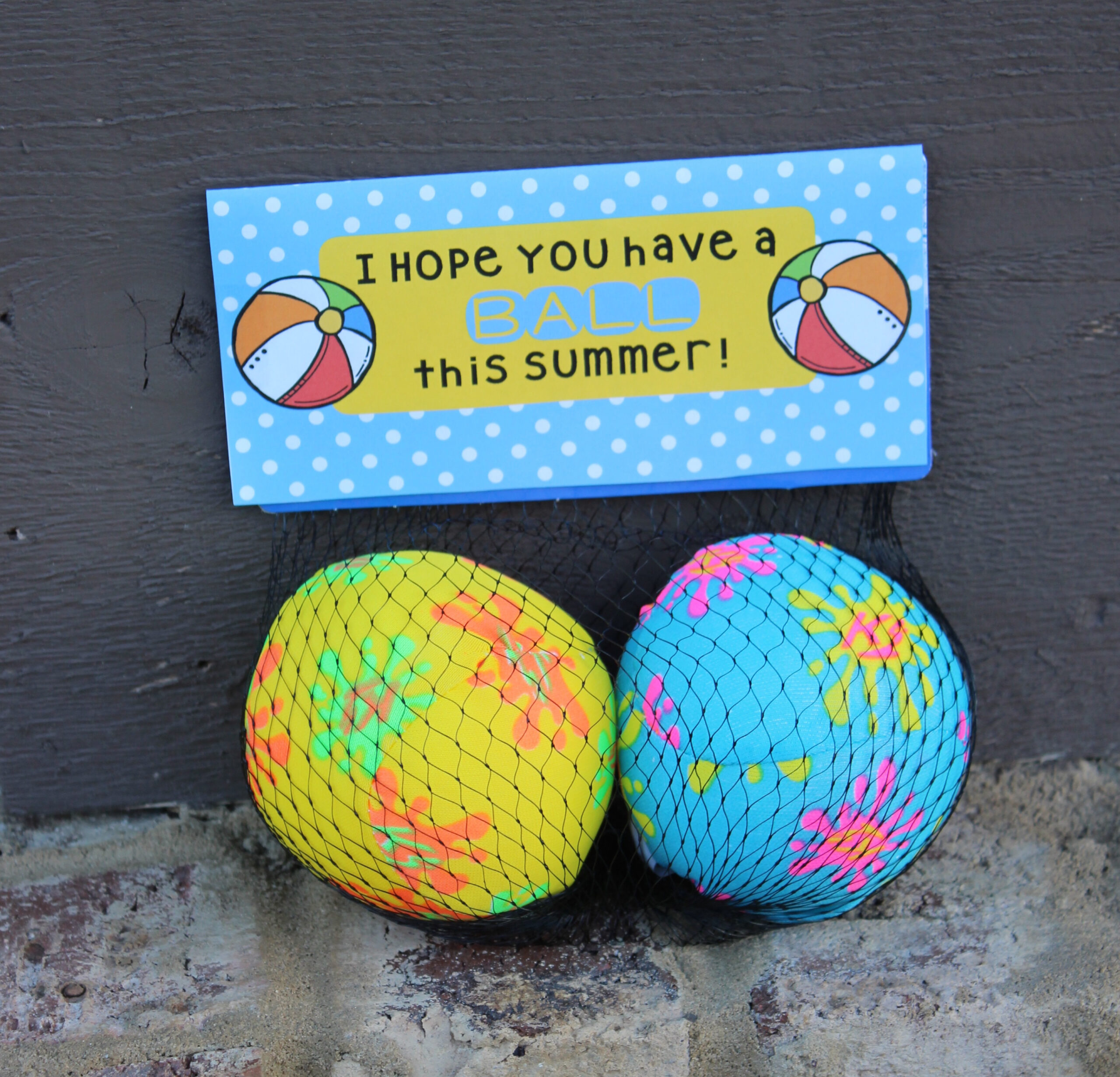 Have a Ball this Summer! Free End of Year Gift Tag Printable