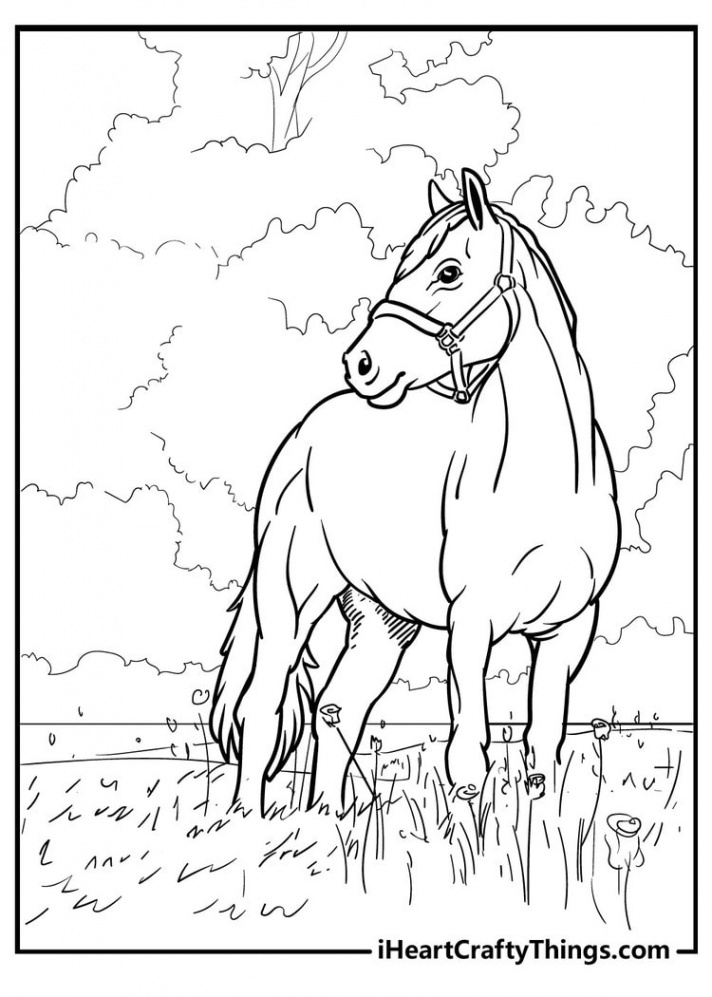 Horse Coloring Pages (% Free Printables)