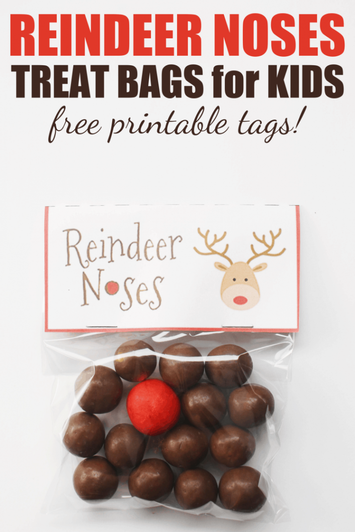 How to Make Easy Reindeer Noses Treat Bags for Kids (Free