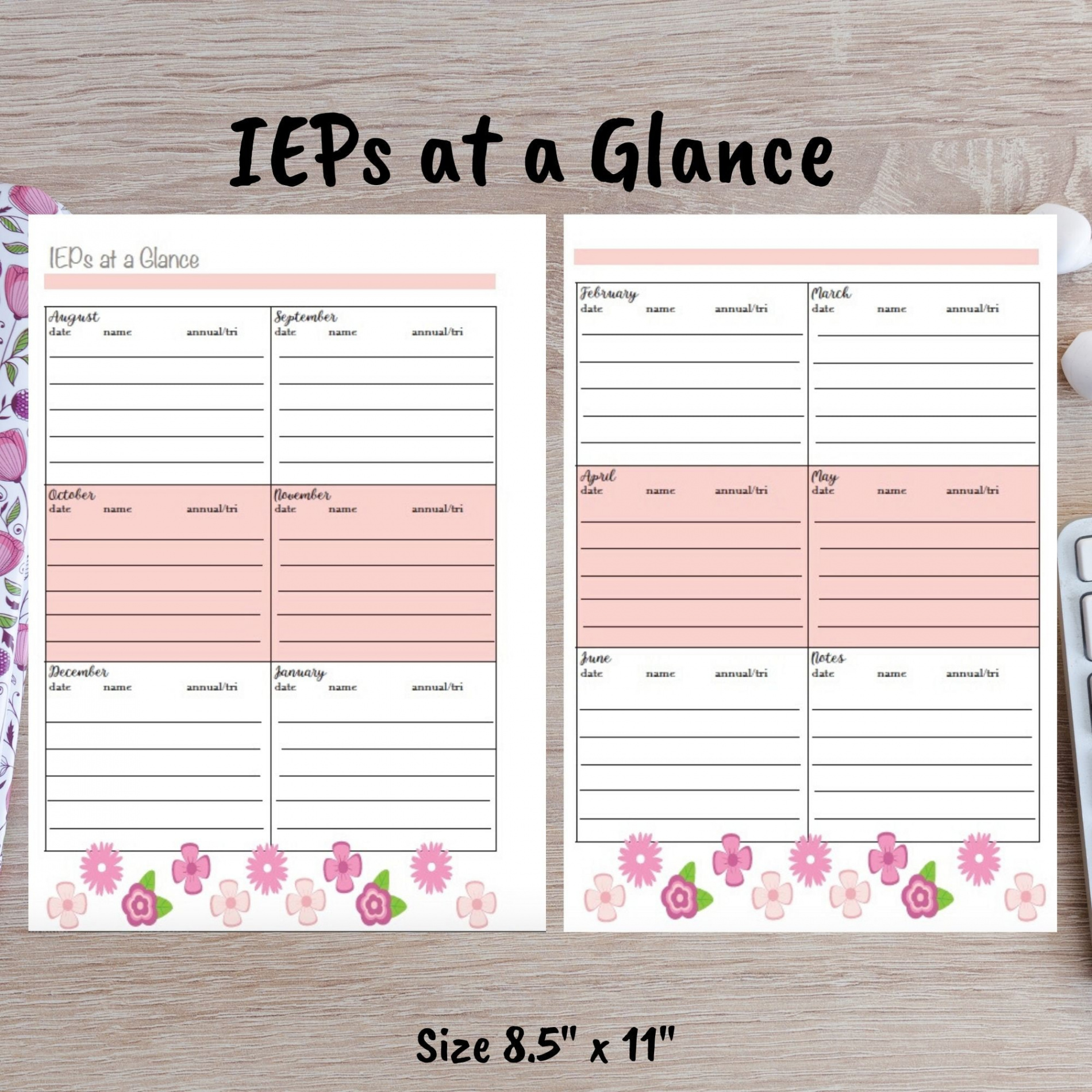 Ieps at a Glance Teacher Planner Printable - Etsy