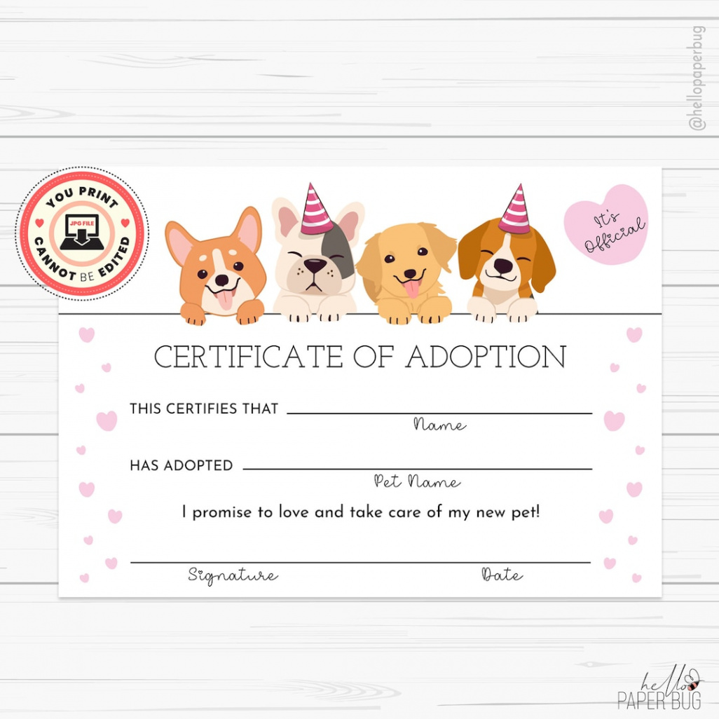 Lets Pawty Adoption Certificate Puppy Party Printable Party - Etsy Singapore