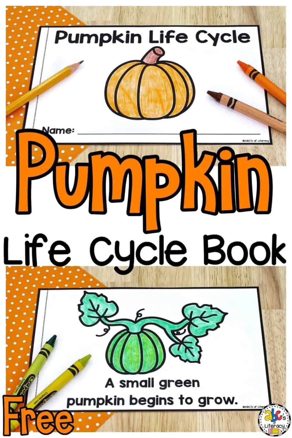 Life Cycle of a Pumpkin Book: Free Printable Science Book