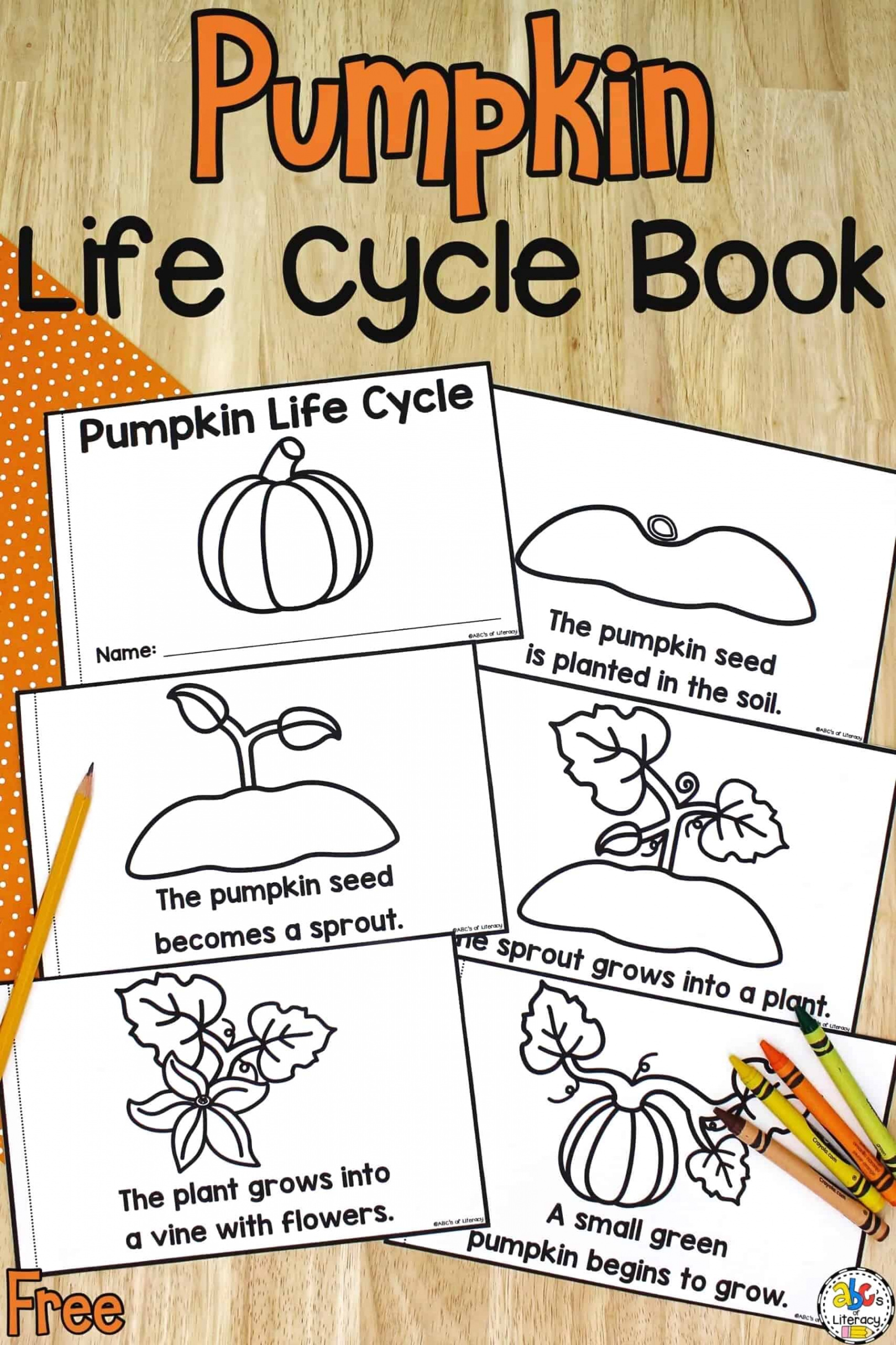 Life Cycle of a Pumpkin Book: Free Printable Science Book