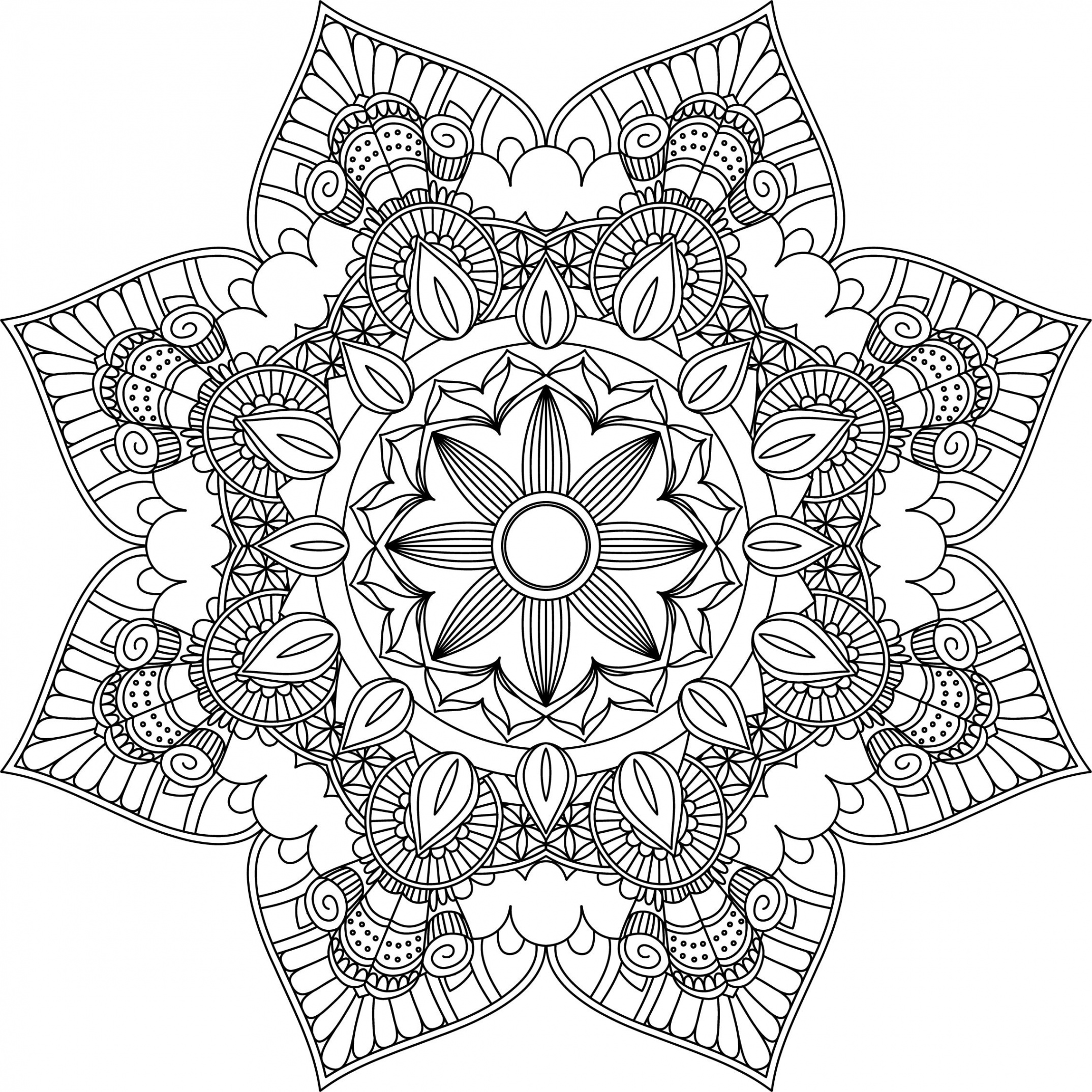 Mandala Coloring Pages Adult Coloring Sheet Printable - Etsy Australia