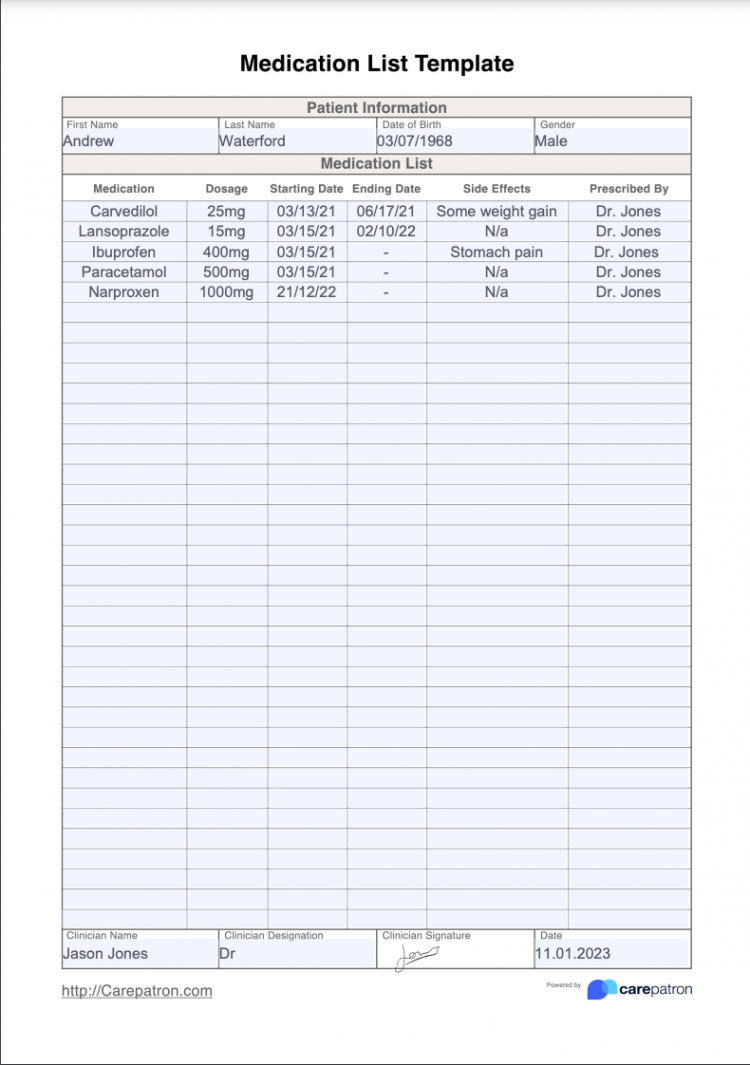 Medication List Template & Example  Free PDF Download